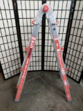 Little Giant MegaLite Adjustable Ladder, rated for 300lbs