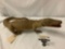 Small taxidermy crocodile, shows wear on tail and foot
