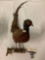 Taxidermy bird, pheasant on wood mount - good cond