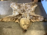 Vintage 1960's-70s Grizzly Bear skin rug in fair cond