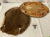 Lot of 2 Vintage (1960s - 70s) beaver pelts Tagged Mont. Beaver