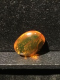 Rare large polished nugget of fossilized Baltic Amber w/ 6 or more insect inclusions - approx 1