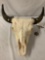 Large bull skull with horns