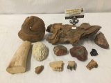 Primitive Collection - tusk pc, 2 fossilized teeth, obsidian, coral, 2 semi polished stones and more