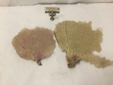 2 pc of dried coral - largest measures 15x13x1