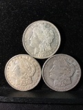 Collection of 3 silver Morgan Dollars. There are 3 1921-D coins