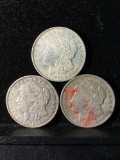 Collection of 3 silver Morgan Dollars. There are 3 1921-D coins