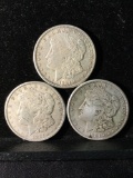 Collection of 3 silver Morgan Dollars. There are 3 1921-S coins