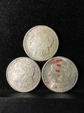 Collection of 3 silver Morgan Dollars. There are 3 1921-S coins