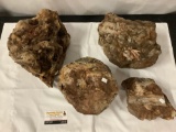 Lot of 4 large rocks/stones and geodes incl. petrified wood