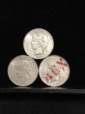 Collection of 3 silver Peace Dollars. Featuring two 1923S coins and one 1922