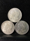 Collection of 3 silver Morgan Dollars. There are 3 1921-D coins