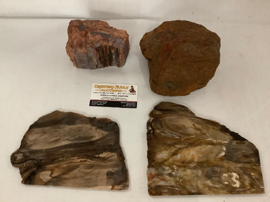 Lot of 4 fossilized wood/petrified wood pieces - 2 are flat cut samples