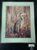 Framed wildlife bird photo (egret / crane ?) Approx 27x21 inches.