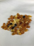 Collection of fossilized Baltic Amber beads