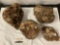 Lot of 4 large rocks/stones and geodes incl. petrified wood