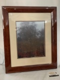 Nicely framed photograph of trees in fall colors approximately 20 x 24 inches