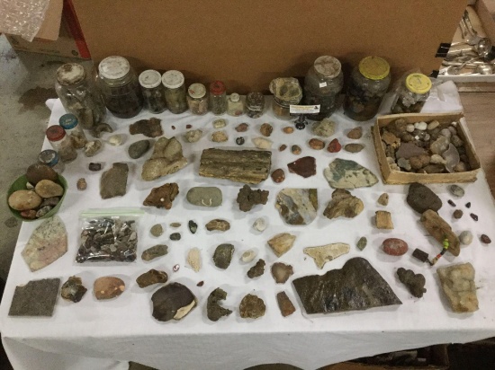 Big lot of various rocks, crystals, fossils, petrified wood, quartz, fossilized clams, and more