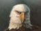 1994 framed painting of a stoic bald eagle - signed & dated by artist D.S. Mills