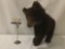 Taxidermy black bear cub (ethically procured) full body display - as is