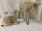 Pair of taxidermy baby goats in walking and resting position(s)