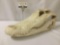 Genuine alligator skull, in great condition