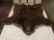 Full brown bear skin rug w/ taxidermy head attached - good cond!