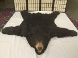 Vintage full black bear skin rug with taxidermy head attached - some staining on underside