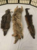 Lot of 3 pelts : Fox, coyote, and weasel pelts - some wear see pics