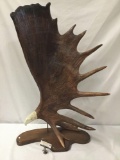 Hand carved moose antler display w/ carved Eagles head relief from B Merry Studio Anchorage, Ak