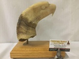1991 Bald Eagle bust carved from a sheep horn w/ stand - signed and dated by artist Ellis