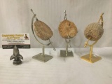 Selection of 3 fine fossilized pinecones w/ metal display stands