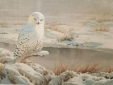 Rare Visit - Snowy Owl by Guy Cohleach print signed & #'d 280/950 w/ COA