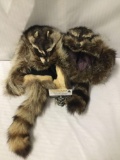 Pair of raccoon skin hats