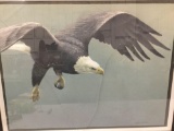 Hand signed print of eagle by Robert Bateman #'d 125/290. Framed but glass is cracked