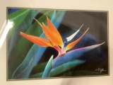 Framed photo print close-up of a Birds of Paradise flower signed by artist V.K. Tyler