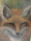 Original pastel drawing of Red Fox by Naomi Sprecht.