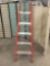 Keller 5.5 foot ladder.