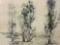 Framed original wood cut block print of trees - Poplars - signed by artist John Nielson.