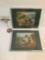 Pair of framed duck wildlife bird prints by artist CB