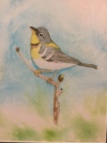 Framed watercolor artwork print of a bird, artist unidentified