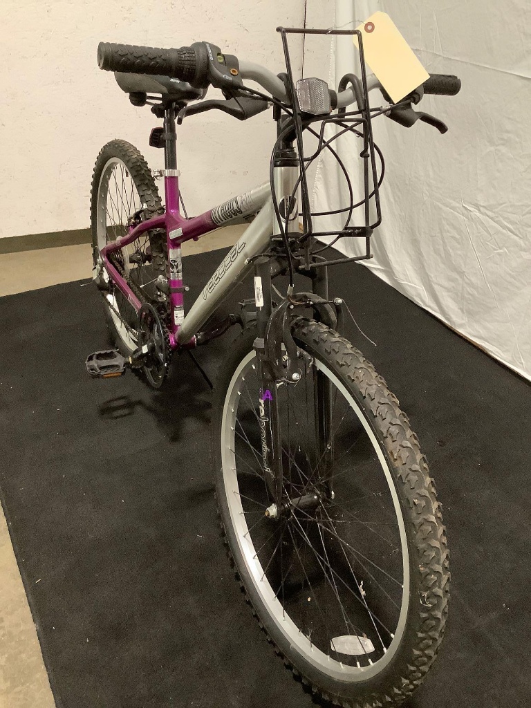 vertical 21 speed aluminum mountain bike