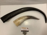 2 pc. lot of animal horns, approx 22 x 3 in.