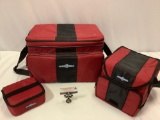 3 pc. lot of Frozn cold storage travel bags, approx 17 x 11 x 11 in.