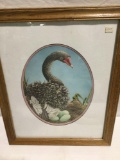 Framed and signed print of goose on her nest of eggs by Carmichael numbered 29/340