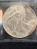 1999 Silver 1 oz. US Silver Eagle coin. w/ rim toning