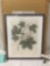 Framed home decor botanical Hops art print unused in box, approx 17 x 21 in.