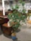 Potted faux tree, nice condition, approx 44 x 78 in.