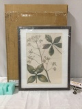 Framed home decor botanical Parsnip art print unused in box, approx 17 x 21 in.