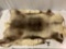 Bear skin rug, approx 60 x 36 in.